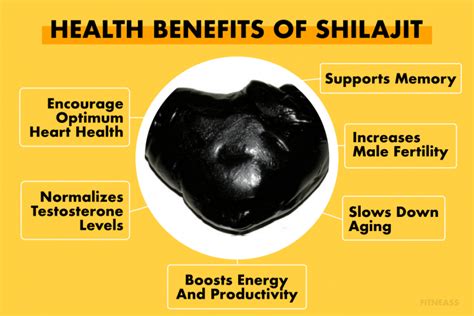 Health Benefits Of Shilajit To Men's Health - Fitneass