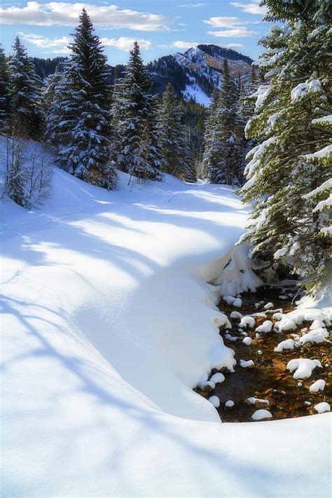 Winter on Mount Timpanogos Photograph by Douglas Pulsipher - Fine Art America