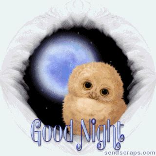 Good Night Owl Pictures, Photos, and Images for Facebook, Tumblr, Pinterest, and Twitter