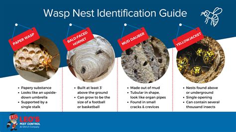 Bee, Wasp & Hornet Nest Removal | Safe Wasp Nest Removal Services