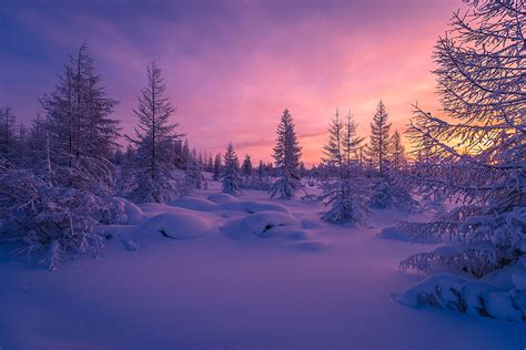 Winter Forest Wallpapers - Top Free Winter Forest Backgrounds ...