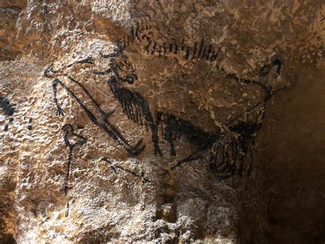 Lessons learnt from Palaeolithic art