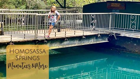 Homosassa Springs: Florida State Park - Jacksonville Beach Moms