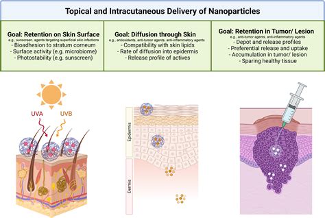 Nanoparticles as a Therapeutic Delivery System for Skin Cancer Prevention and Treatment - JID ...