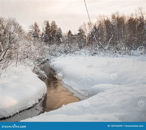 Winter Landscape with River and Trees Stock Image - Image of pointofview, river: 139762655