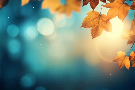 Fall Autumn Background Stock Photos, Images and Backgrounds for Free ...