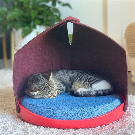 Modern Aesthetic Cat Bed | Canopy Bed | Cat Person Canopy Bed | Cats, Canopy bed, Cat bed