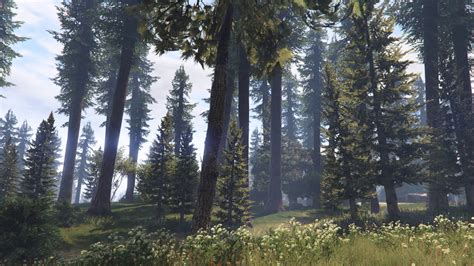 Forests of San Andreas: Revised [Add-On | YMAP | YMT | CARGEN | LODs ...