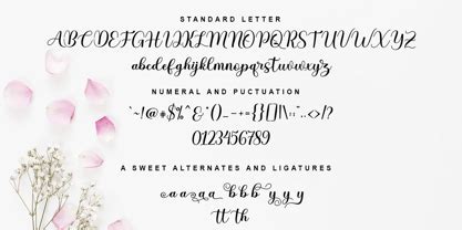 Baby Heart Font | Webfont & Desktop | MyFonts