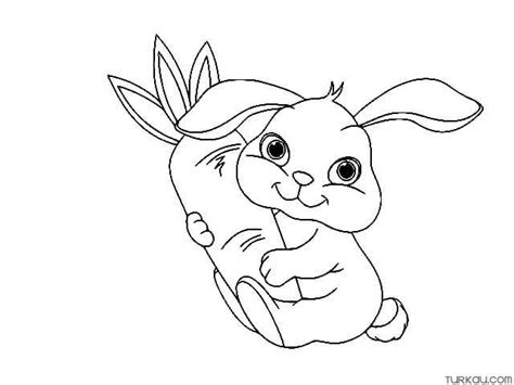 Cute Rabbit Carrot Coloring Page » Turkau