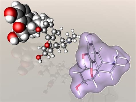 Morphine molecule 3D model | CGTrader