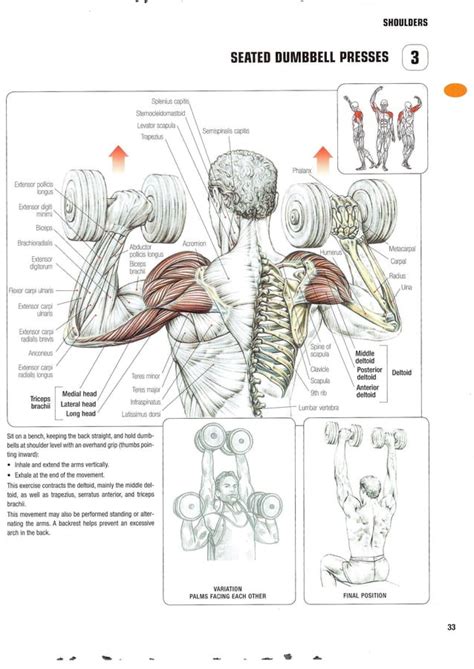 Strength Training Anatomy 2nd Edition