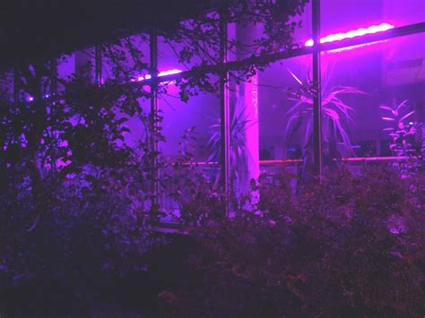 √ Purple Aesthetic Header