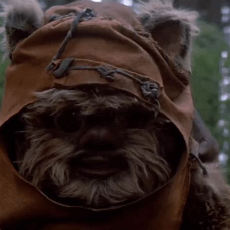 Star-wars-ewok GIFs - Get the best GIF on GIPHY