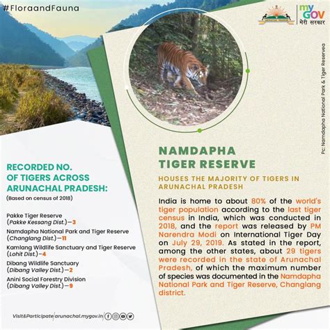 Namdapha National Park in Arunachal Pradesh; Its History & More!