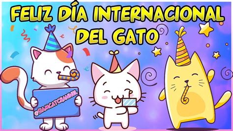 ¡FELIZ DÍA DEL GATO! + CURIOSIDADES SOBRE MIS GATOS - SiamCatChannel ...