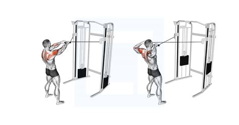 Cable Standing Face Pull - Guide, Benefits, and Form