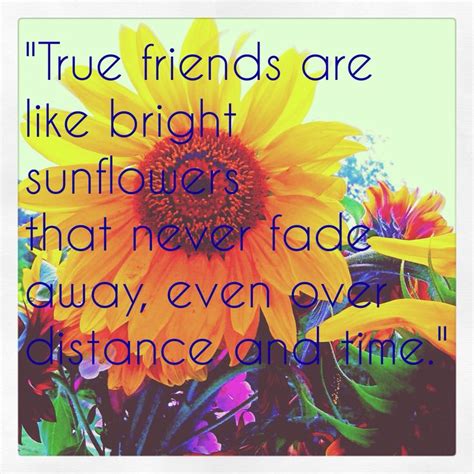 30 best images about Sunflower Quotes for the Fall Season. on Pinterest | Walt whitman ...