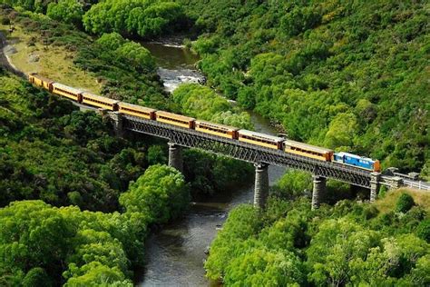 Taieri Gorge Railway and the Otago Peninsula Day Trip from Dunedin Dunedin And The Otago P ...