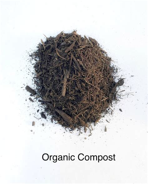 COMPOST – Dirt Exchange