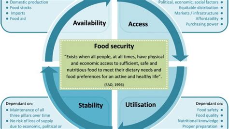 Food security: Pillars, Determinants and Factors Affecting It - Public ...