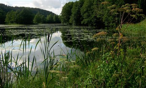 poland, Rivers, Forests, Lake, Nature Wallpapers HD / Desktop and ...