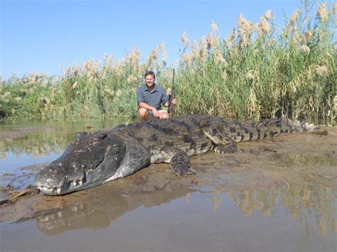 7-Day Crocodile Hunt for One Hunter and One Non-Hunter in Mozambique ...