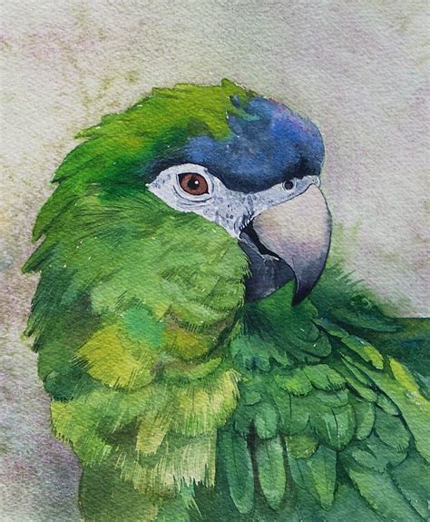 Top 10 watercolor parrot painting ideas and inspiration