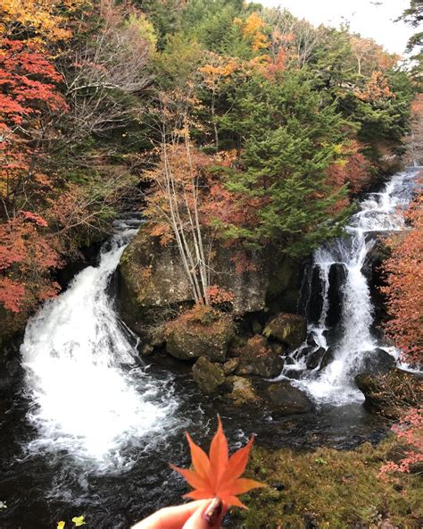 Where to Enjoy Beautiful Autumn Scenery in Japan