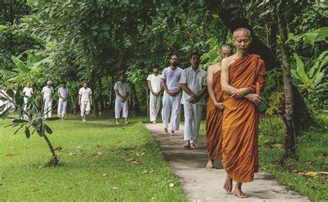 Walking Meditation: How To Perform It Properly And Why? - SOLANCHA