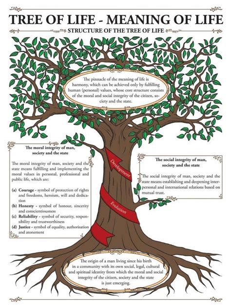 ᐈ TREE OF LIFE: Meaning, Symbol, Bible [2020]