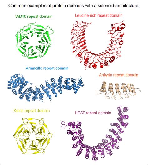 What is the Difference Between Protein Subunit and Domain | Compare the Difference Between ...