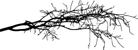 15 Simple Tree Branch Silhouettes (PNG Transparent) | OnlyGFX.com