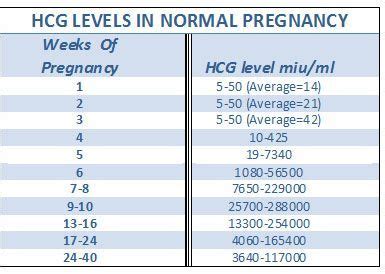 Pin on Pregnancy & Planning For Momhood