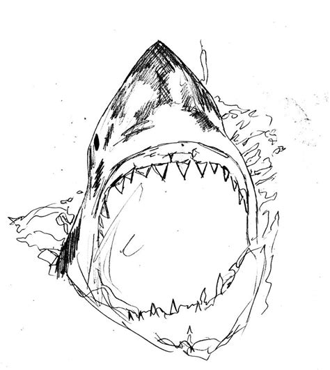 Killer Shark Drawing by Alexis-Wright on Newgrounds