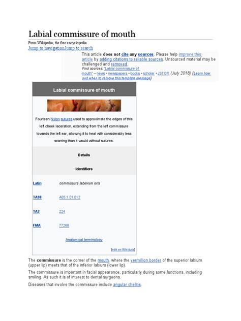 Labial Commissure of Mouth: Jump To Navigation Jump To Search | PDF