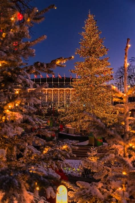 Denmark - Christmas Tree through the Trees - Copenhagen Stock Image ...