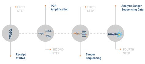 DNA Sanger Sequencing (LG-GA-Seq) - Lab Genetix