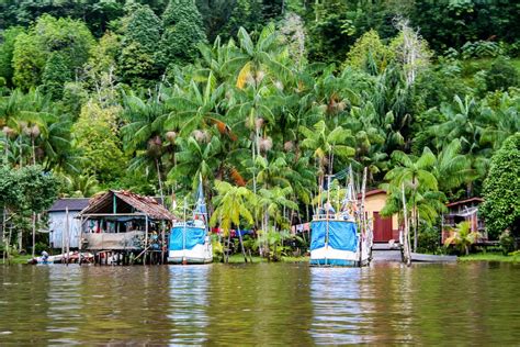 The 7 Best Things to Do in French Guiana | Wanderlust