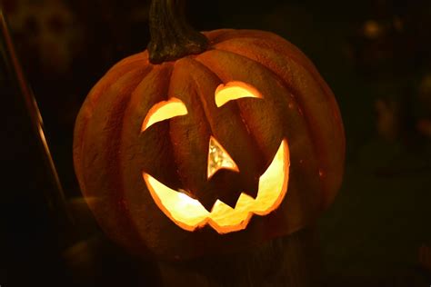 Free Images : fall, spooky, orange, autumn, pumpkin, holiday, jack o lantern, scary ...