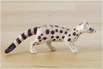 Asiatic linsang - Toy Animal Wiki