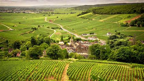 Things to do in Burgundy | Travel Guide | P&O Ferries