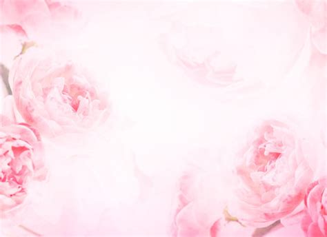 Details 200 background rose flower wallpaper - Abzlocal.mx