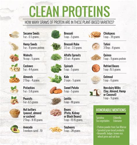 High Protein Vegan Diet To Lose Weight | Home and Garden Reference