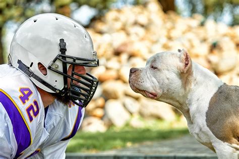 Face To Face Man And Dog. An American Football Player In A Helme | Doggies.com Dog Blog