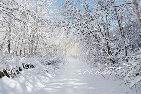 Snow Zoom Backgrounds | Images and Photos finder