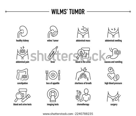 3 Wilms Tumor Stock Vectors, Images & Vector Art | Shutterstock