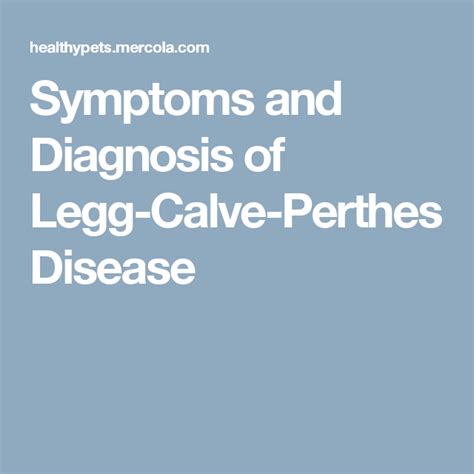 Perthes Disease Symptoms / Legg Calve Perthes Disease Pediatrics Orthobullets : Clinical ...