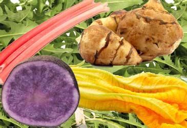 10 weird & unusual vegetables we bet you haven’t tried - HellaWella