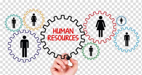 Human resources transparent background PNG clipart | HiClipart